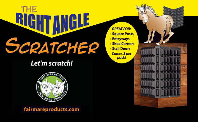 Right Angle Horse Corner Scratcher